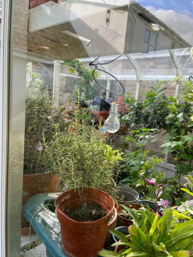A shot of lots of plants inside of a greenhouse taken from outside