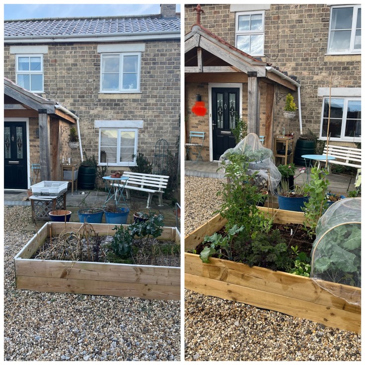 Side by side comparison of the front garden bed, left to right - winter and in spring, respectively