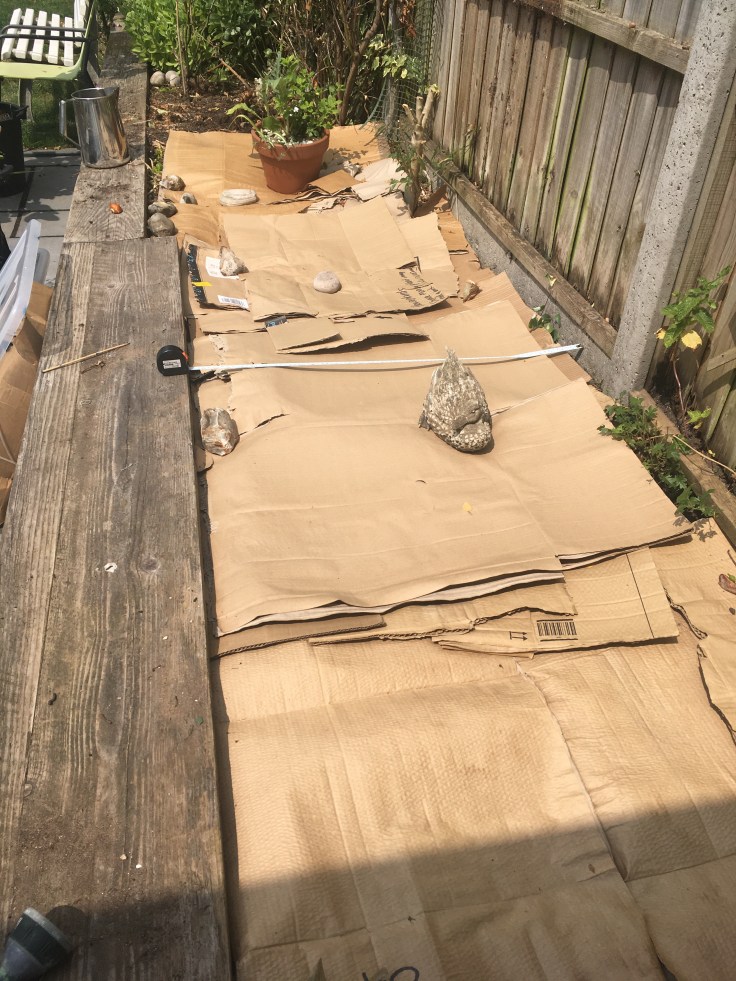 Cardboard layered to show the base of the tortoise enclosure