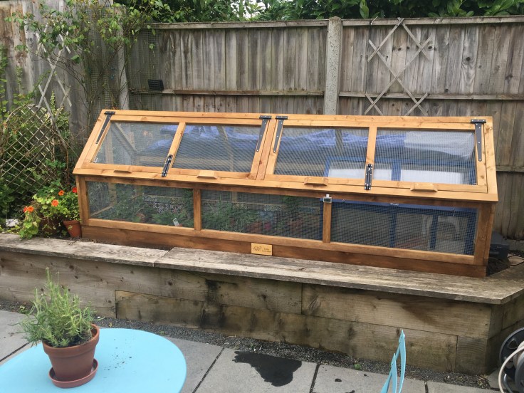 A wooden tortoise enclosure outdoors on the side of a patio