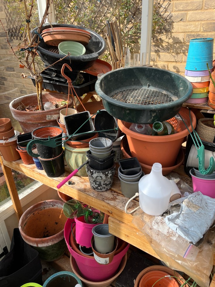 Plastic pots in the greenhouse