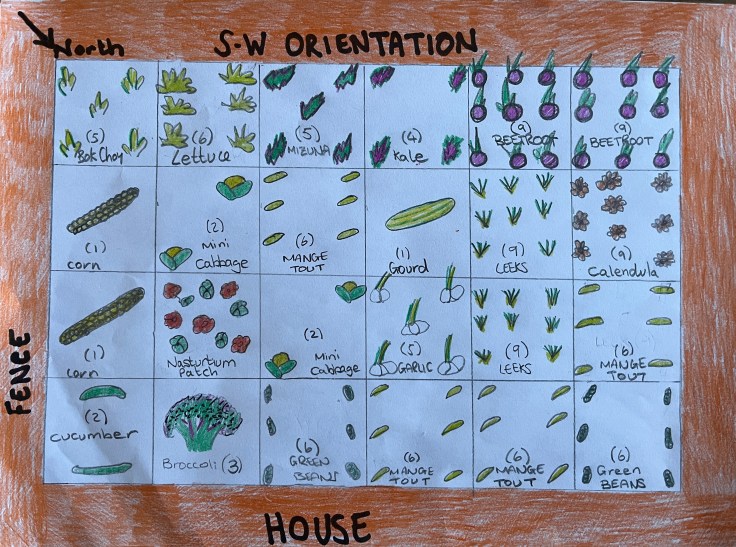 Square good garden illustration