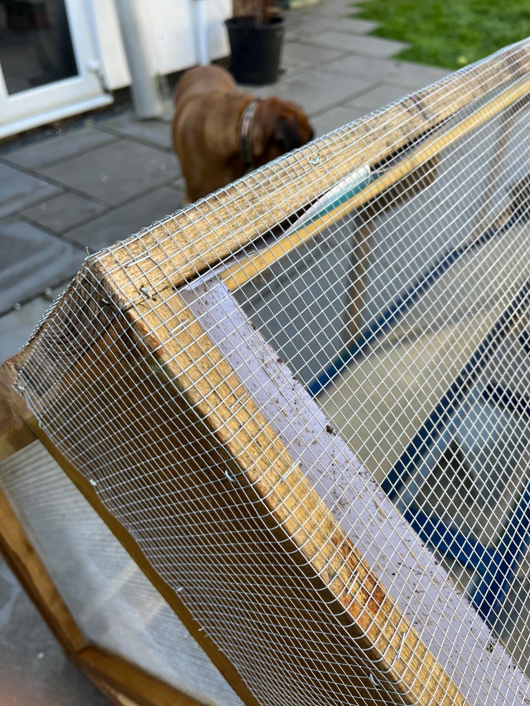 Rodent proofing the enclosure.