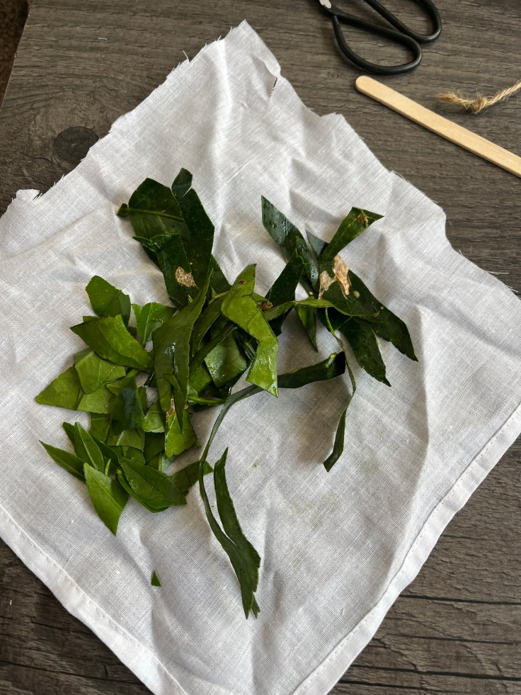 Fresh lime leaves shredded and on a muslin cloth