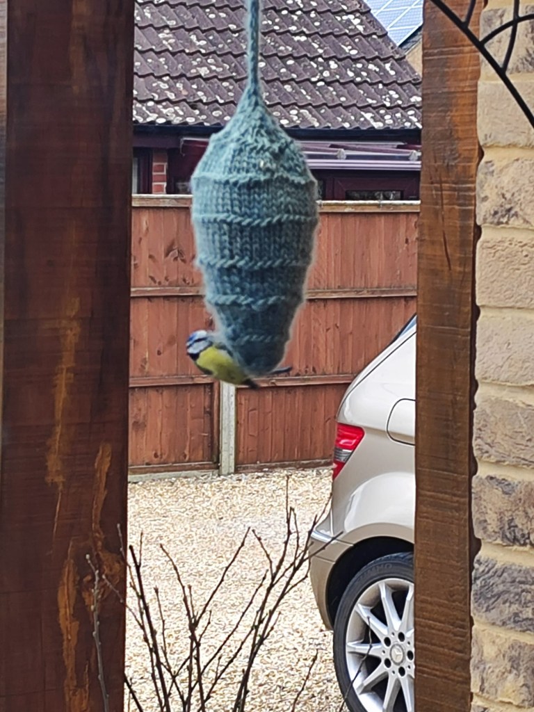 0f863ba9-d1b1-4635-b022-7f755a724aa5-1